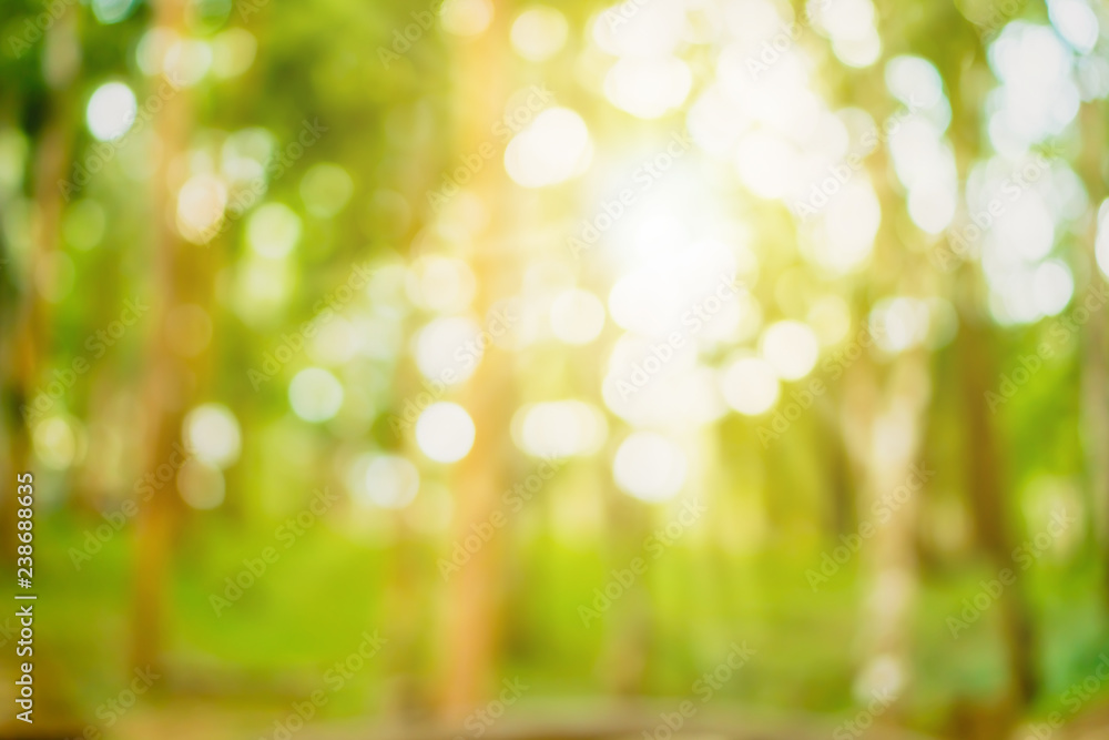Obraz premium Blur nature bokeh green park by beach and tropical coconut trees