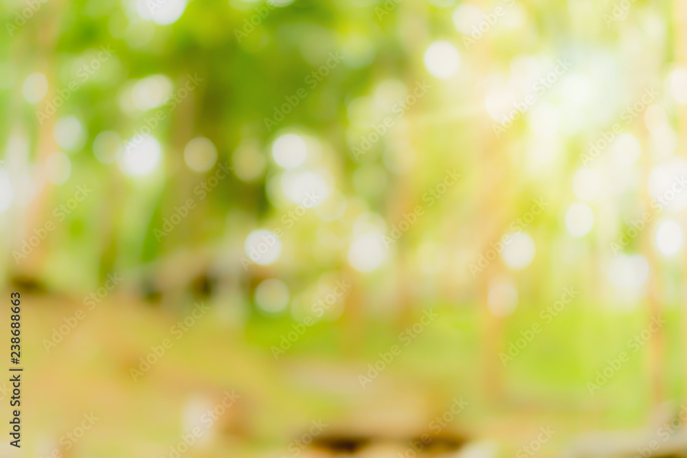 Obraz premium Blur nature bokeh green park by beach and tropical coconut trees