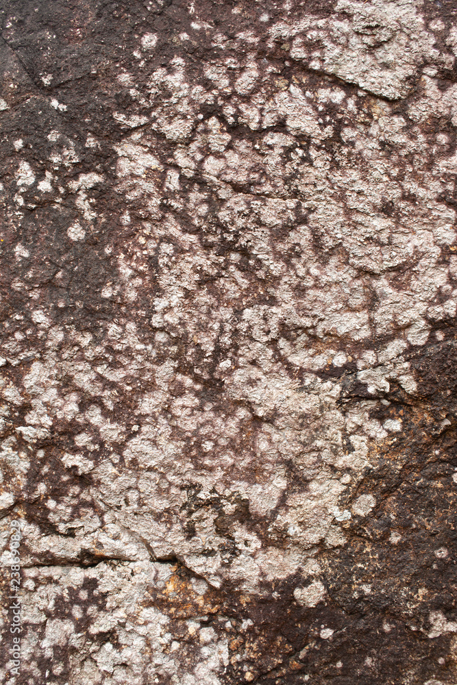 The texture of brown stone speckled with white patches The texture of brown stone speckled with white patches