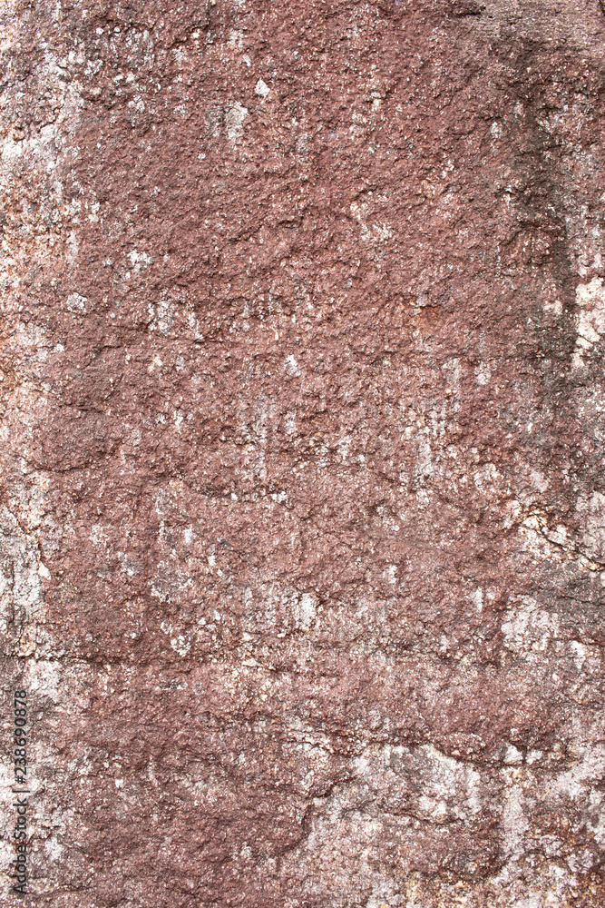 The texture of the wine granite stone with white specks The texture of the wine granite stone with white specks