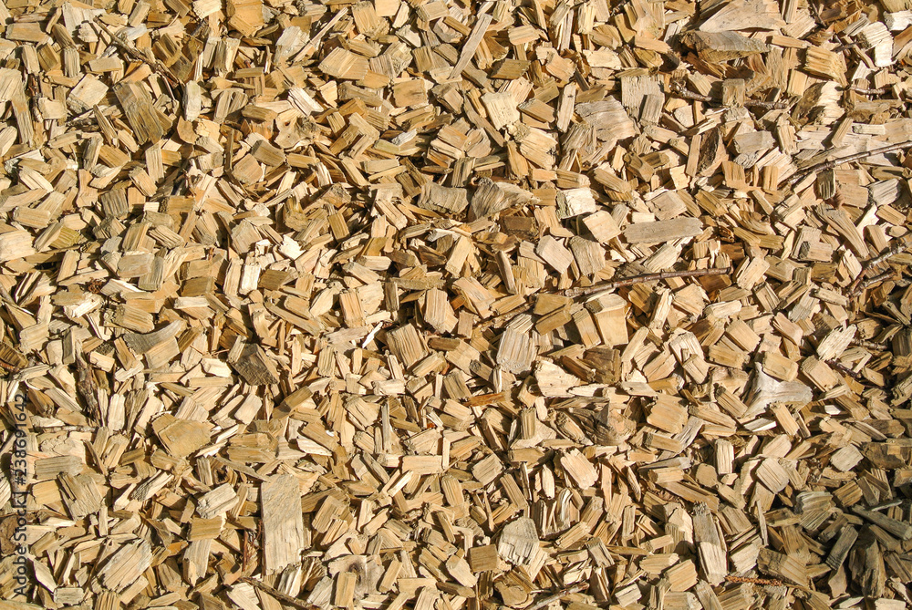 Background pile of wood Background pile of wood