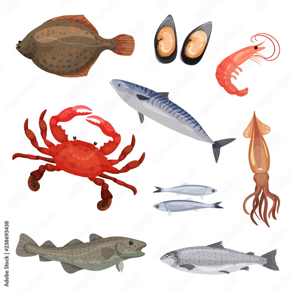 Set of various seafood. Fish, crab and mollusks. Marine animals. Sea creatures. Detailed flat vector icons Set of various seafood. Fish, crab and mollusks. Marine animals. Sea creatures. Detailed flat vector icons