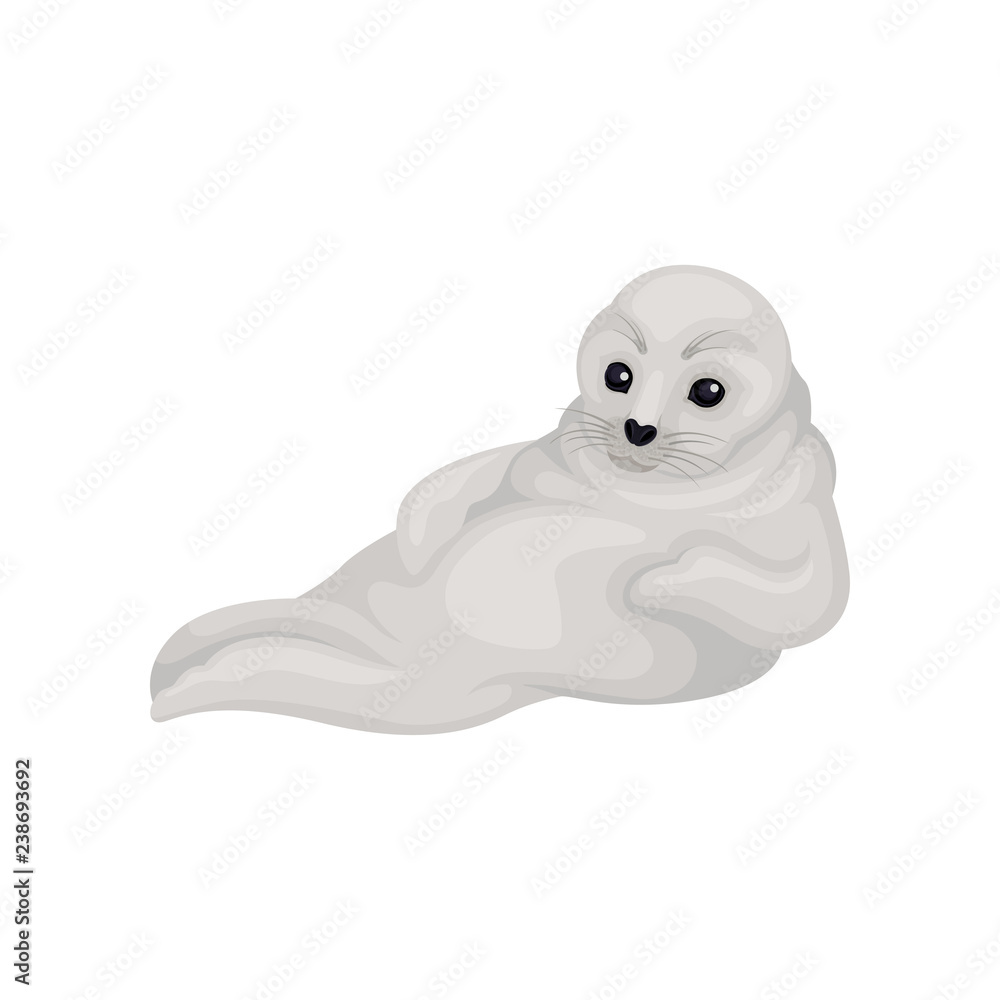 Cute seal pup sitting isolated on white background. Animal of Arctic or Atlantic ocean. Marine mammal. Flat vector icon Cute seal pup sitting isolated on white background. Animal of Arctic or Atlantic ocean. Marine mammal. Flat vector icon
