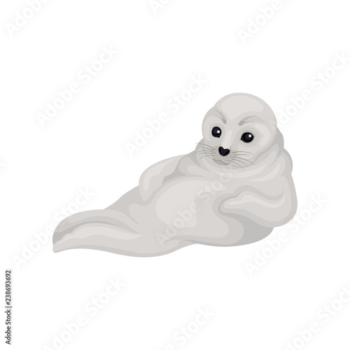 Cute seal pup sitting isolated on white background. Animal of Arctic or Atlantic ocean. Marine mammal. Flat vector icon