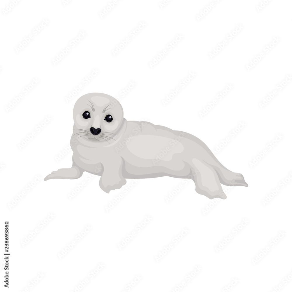 Flat vector design of lying seal pup lying. Funny marine mammal with gray coat and black eyes. Arctic animal Flat vector design of lying seal pup lying. Funny marine mammal with gray coat and black eyes. Arctic animal