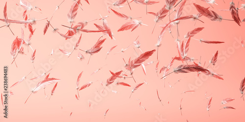 Living Coral color of the Year 2019. Background with feathers in trendy color