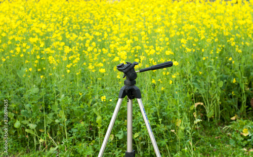 A camera tripod in the mustard crop field 