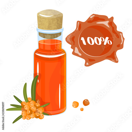 Sea buckthorn oil in a glass bottle, sprig and sea-buckthorn berries isolated on white background. Vector illustration in a flat style.