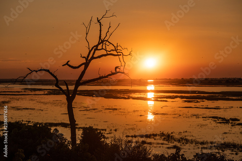 Sunset at the chobe river in Botswana