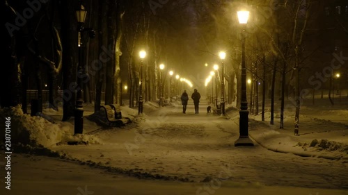 Footage of snow falling on winter night city park. People with dog walking on winter park alley
