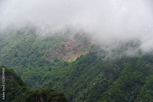 Green forested hill in dense clouds. Portuguese island of Madeira