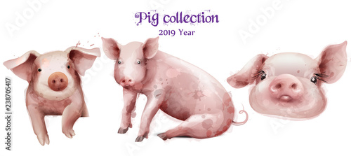Cute pigs icon set in watercolor Vector. Pig New Year symbols isolated templates