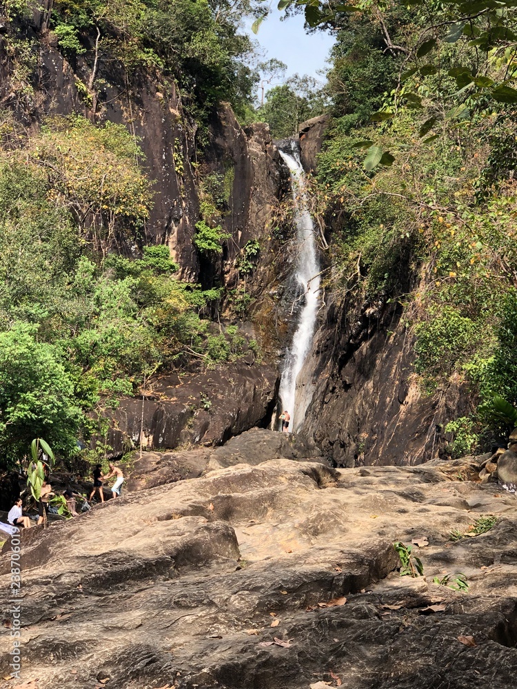 waterfall in the forest