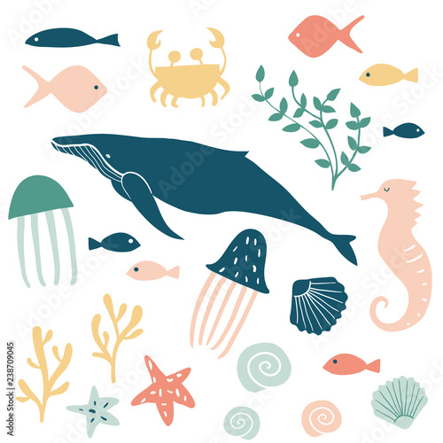 Sea animals illustration