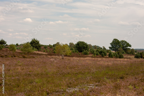 Lüneburger Heide