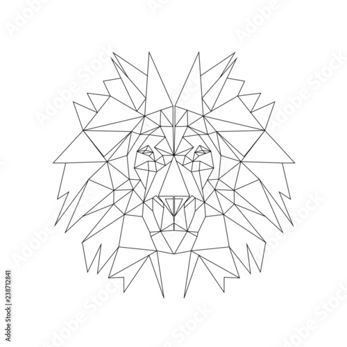line illustration - lion