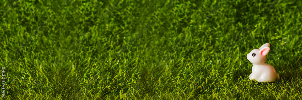 figure of rabbit on the grass. Banner blank figure of rabbit on the grass. Banner blank