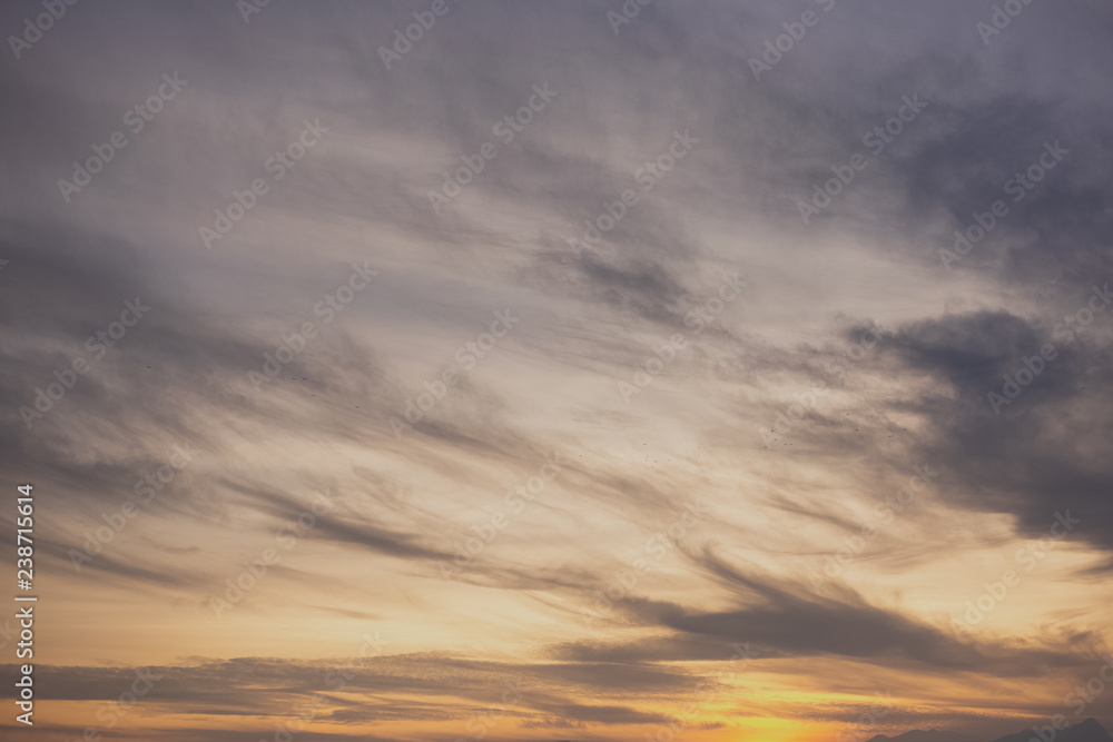 Sunset charming sky background with soft calm white clouds and evening sunlight. Beautiful nature background. Horizontal color photography.