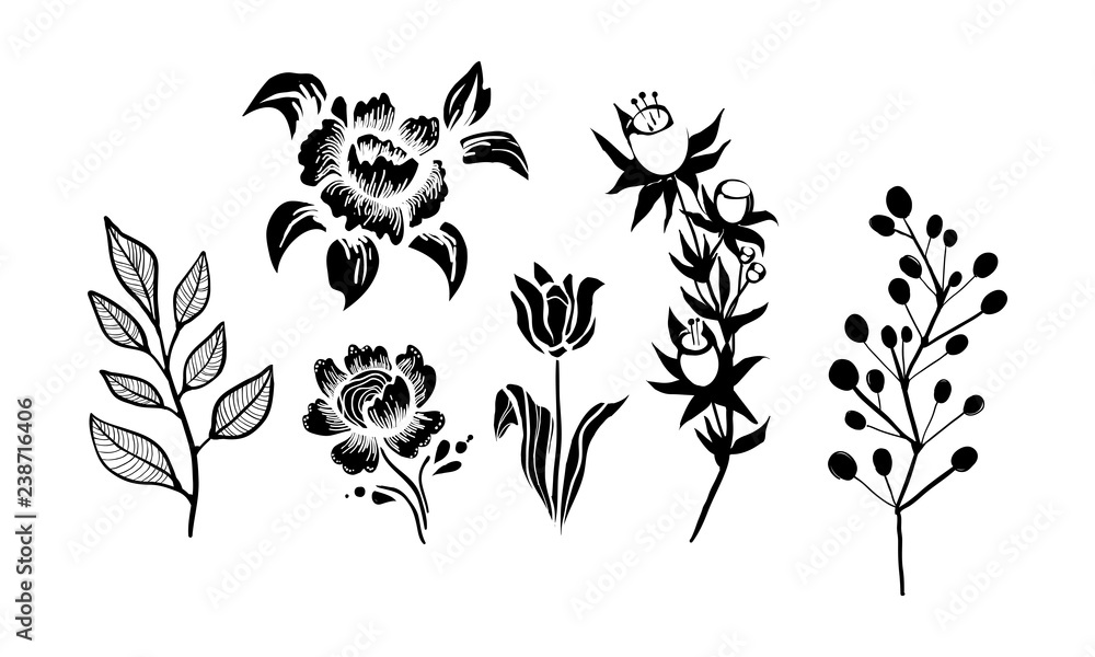 Flowers and plants set, monochrome botanical design elements vector Illustration on a white background