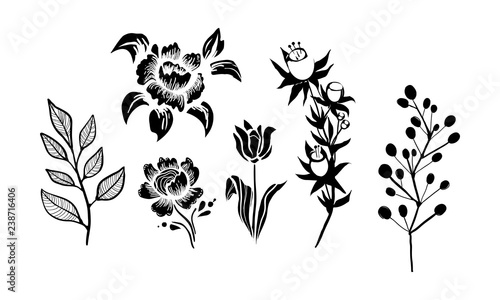 Flowers and plants set  monochrome botanical design elements vector Illustration on a white background