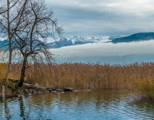 The snow capped mountain peaks of central Switzerland emerge above the clouds along the shores of the Upper Zurich Lake (Obersee), near Rapperswil-Jona, Sankt Gallen, Switzerland photo