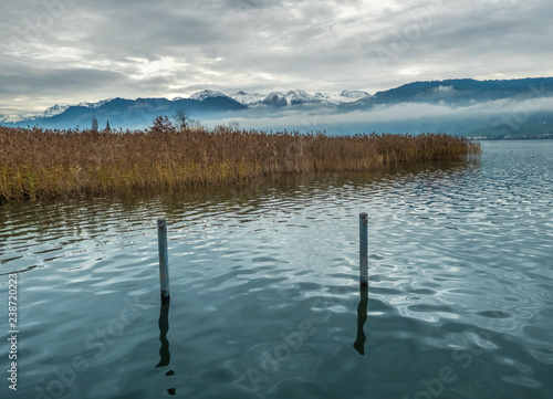 The snow capped mountain peaks of central Switzerland emerge above the clouds along the shores of the Upper Zurich Lake (Obersee), near Rapperswil-Jona, Sankt Gallen, Switzerland photo