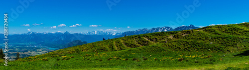 Panorama Berge von Füssen mit Seen Allgäu mit blumenwiese im Vordergrund
