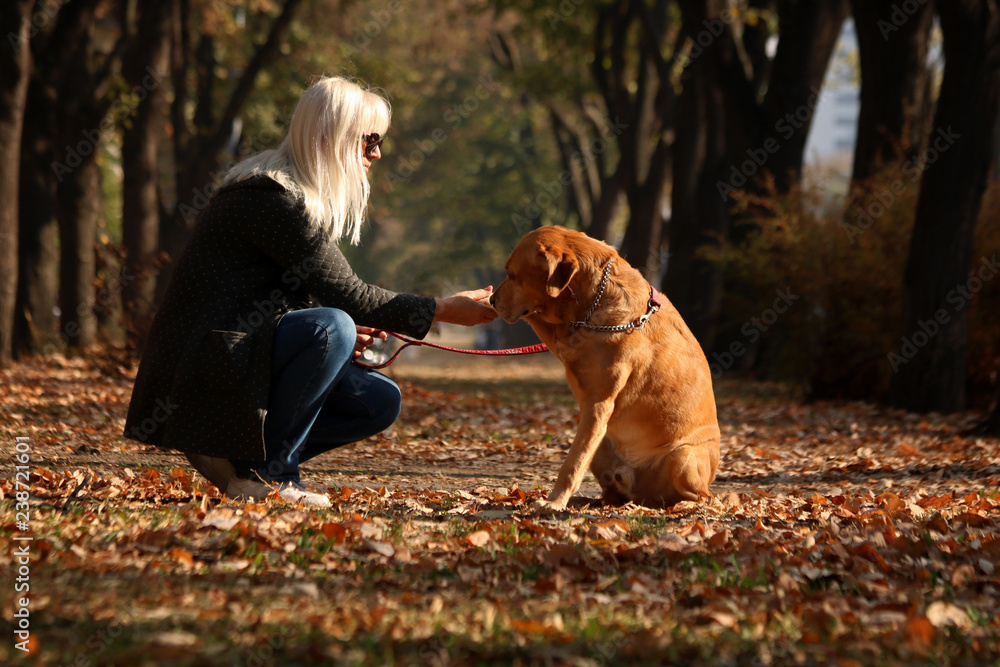 Adult woman having nice moments with her dog at city park