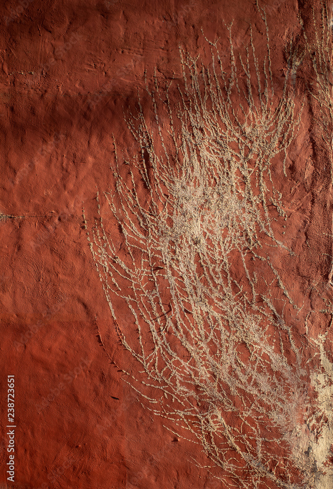 Red stucco wall with plant relief Red stucco wall with plant relief