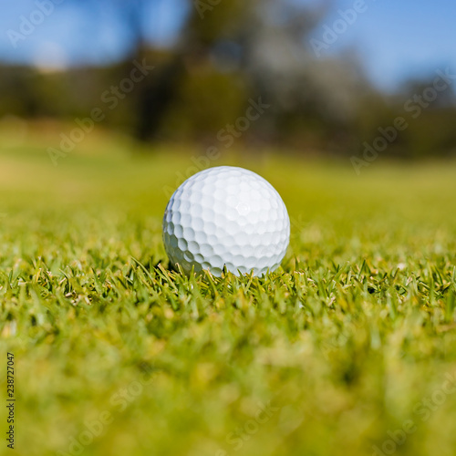 Golf Ball on a Fairway green at a golf course