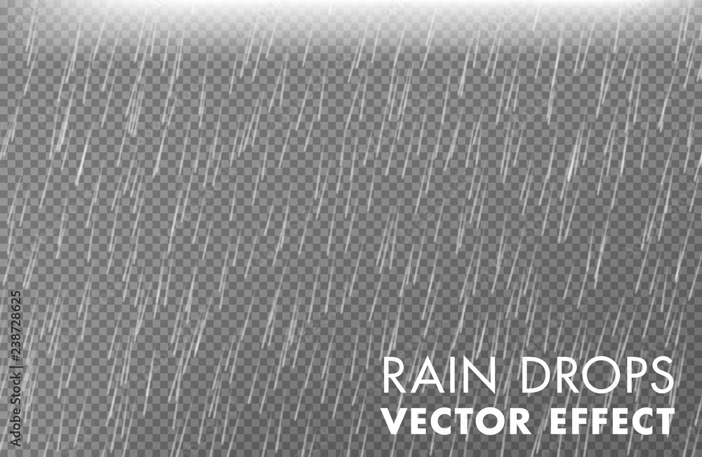 Rain drops on the transparent background - Vector effect 2