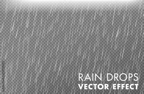 Obraz na plátně Rain drops on the transparent background - Vector effect 2