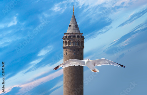 Photography Galata Tower, istanbul