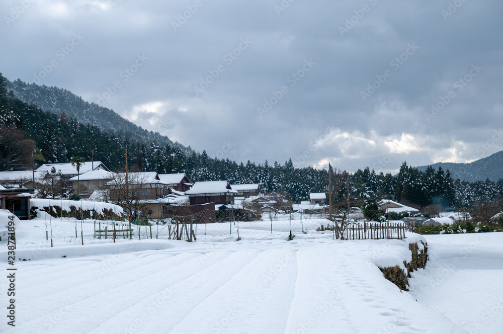 京都 大原野の雪景色 京都 大原野の雪景色