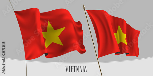 Set of Vietnam waving flag on isolated background vector illustration