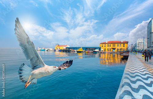 Pasaport Pier with seagull - izmir Turkey