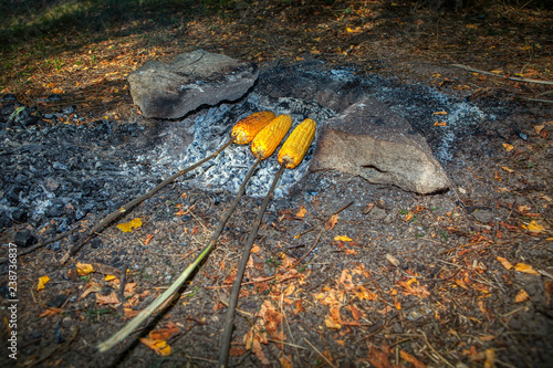 picnic with corn preparation on embers
