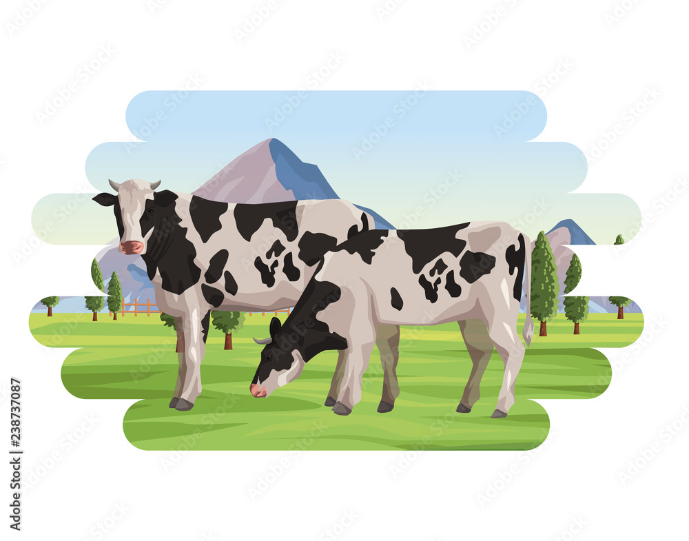 Cows farm animal Cows farm animal