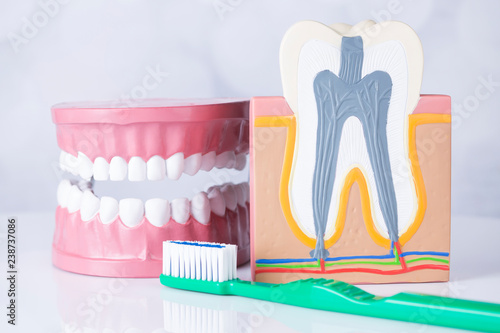 Tableau sur toile Dentist, Dental tools on a white background, Teeth and jaw.