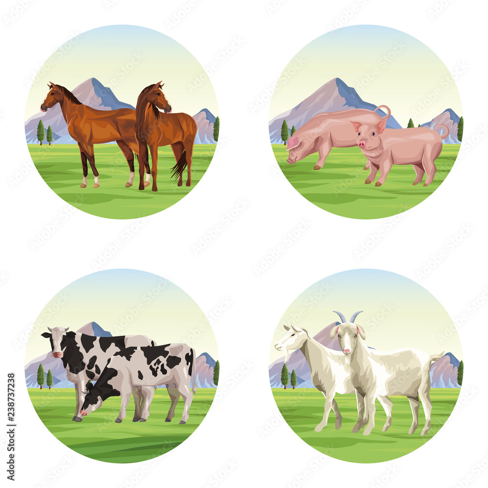 farm animals cartoons farm animals cartoons