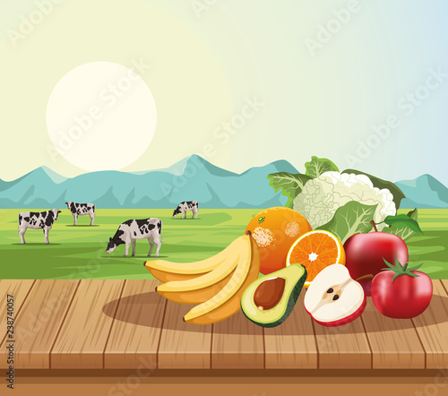 Fruits and vegetables