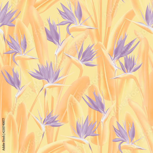 Bird of paradise tropical flower vector seamless pattern. Jungle plant paradise tropical summer fabric design. South African plant tropical blossom of crane flower, strelitzia. Floral wallpaper.