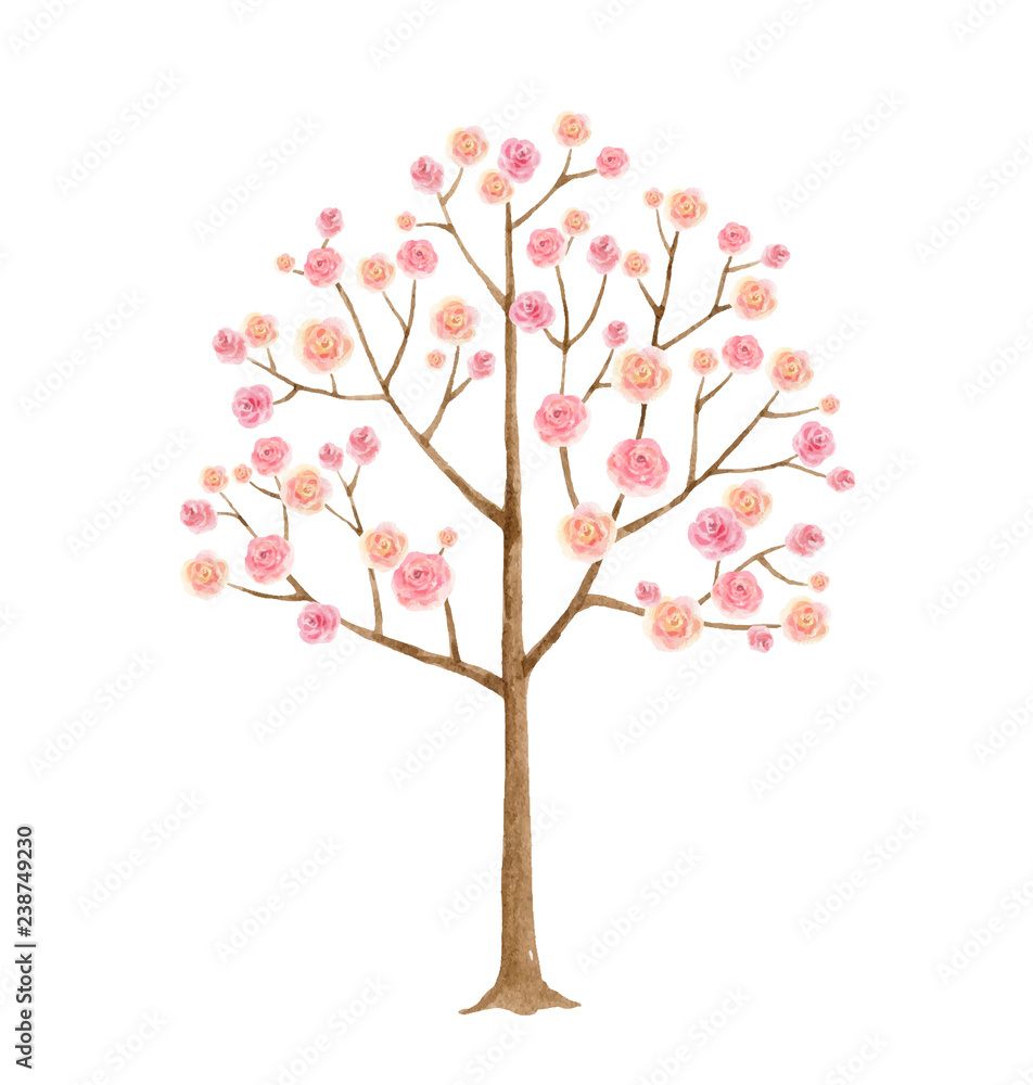 Watercolor vector illustration tree with pink flowers.