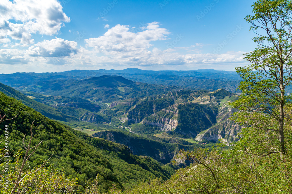 Lungo il sentiero 201 da val d'abisso al Monte Nerone