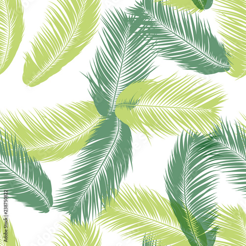 Vector Feathers. Tropical Seamless Pattern with Exotic Jungle Plants. Coconut Tree Leaf. Simple Summer Background. Illustration EPS 10. Vector Feathers Silhouettes or Hawaiian Leaves of Palm Tree. © ingara