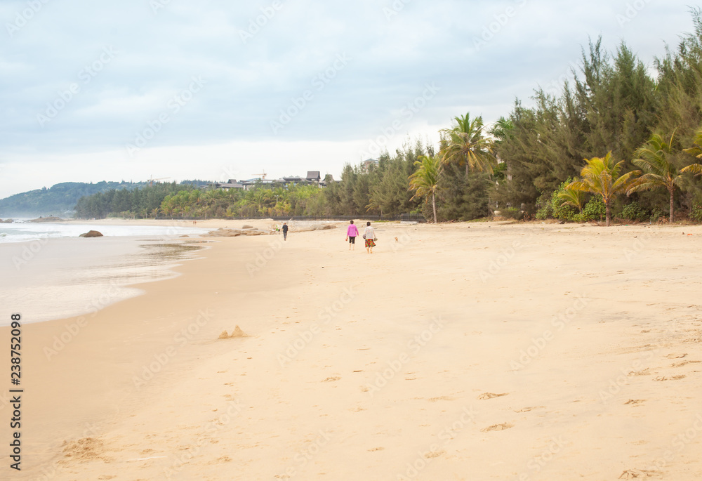 The concept of a relaxing holiday on the wild beach of the sea The concept of a relaxing holiday on the wild beach of the sea