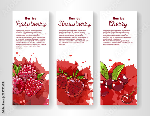 Set of organic eco berries vertical banners. Hand drawn illustration in sketch style. Cherry, strawberry and raspberry on colorful splashes on white background with free place for your text.