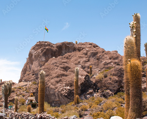 Incahuasi island, Salar de Uyuni, Bolivia. photo