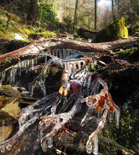 Stream waterfall in Great Smoky Mountains National Park became beautifully adorned with frozen iciles after an overnight spring freeze photo