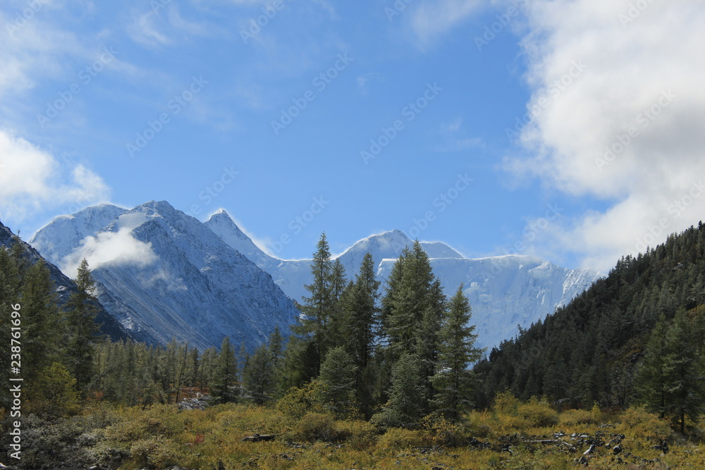 Obraz premium гора белуха алтай сибирь